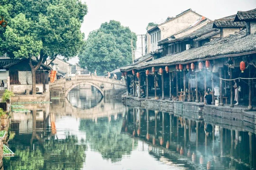 救援呆萌的猫